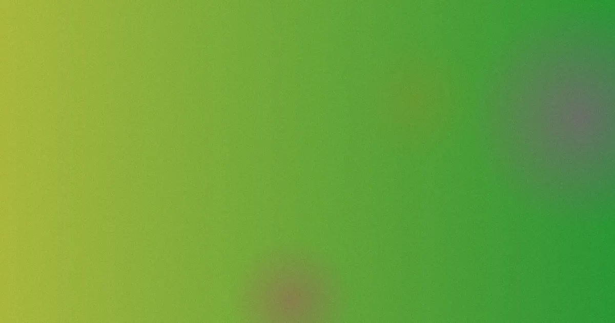 罗西测评：常见避坑问答